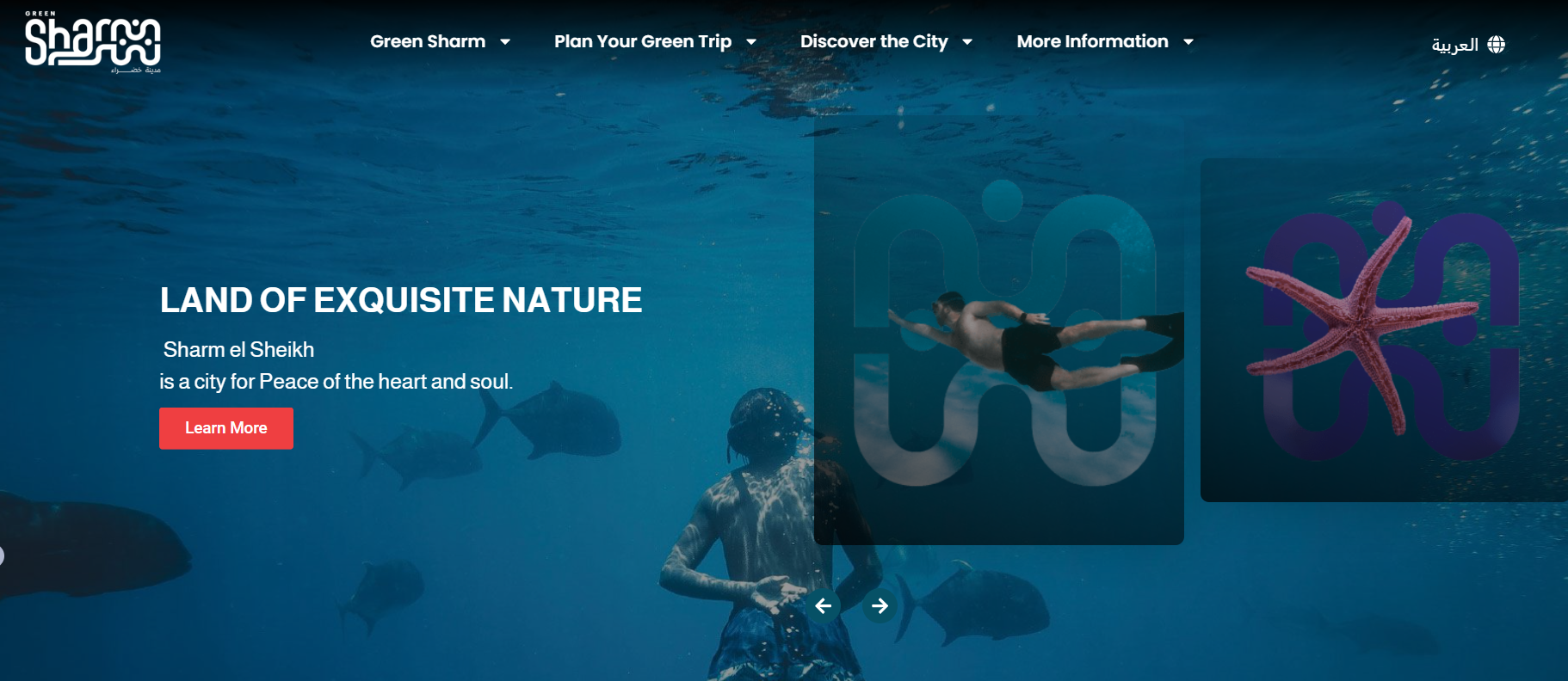 Egypt's Sustainable Tourism Digital Ecosystem — screen 2