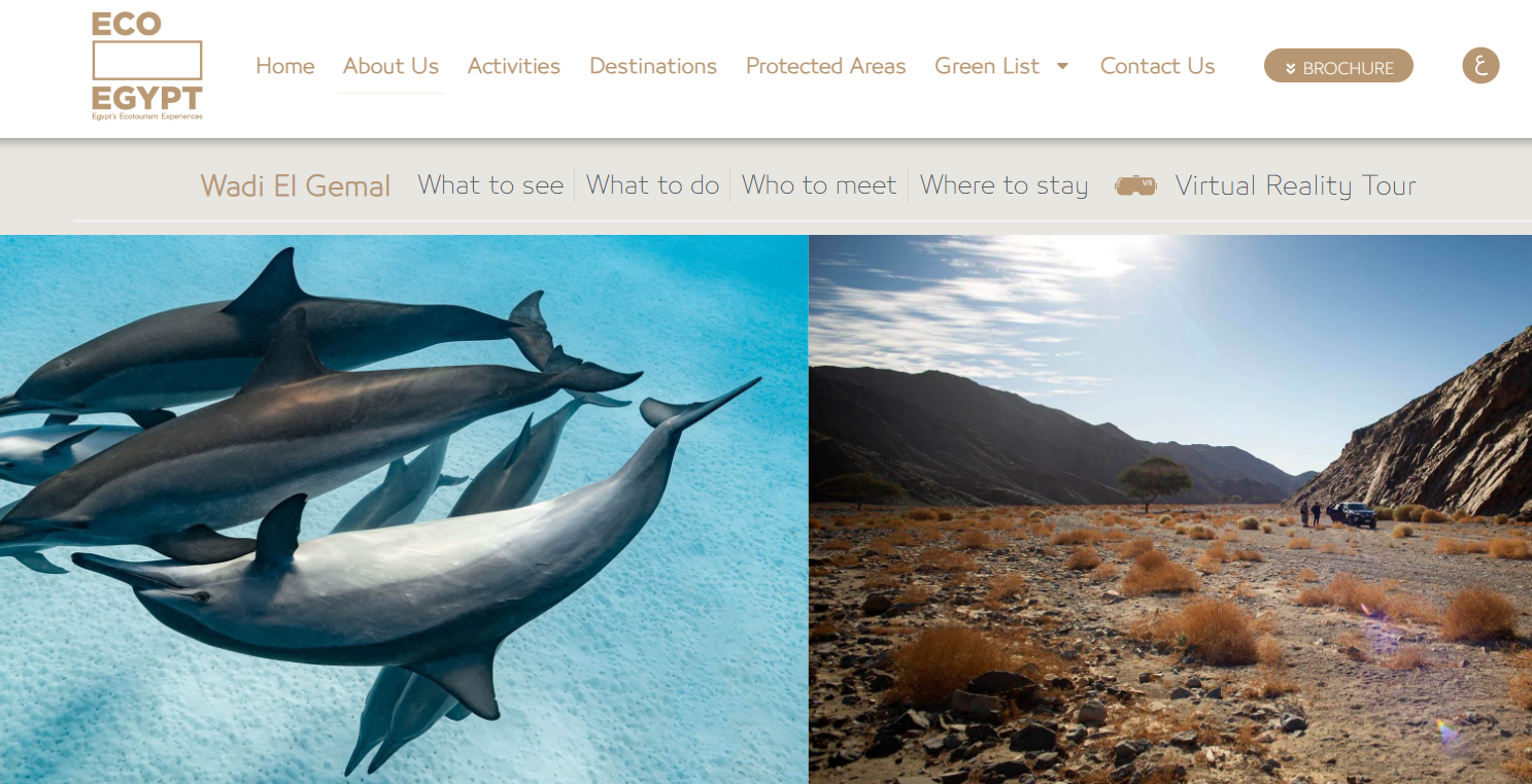 Egypt's Sustainable Tourism Digital Ecosystem — screen 1