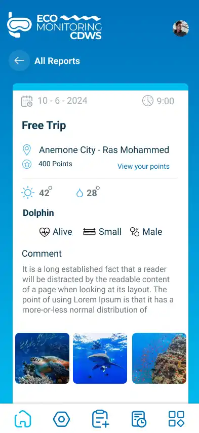 Egypt's Sustainable Tourism Digital Ecosystem — screen 7